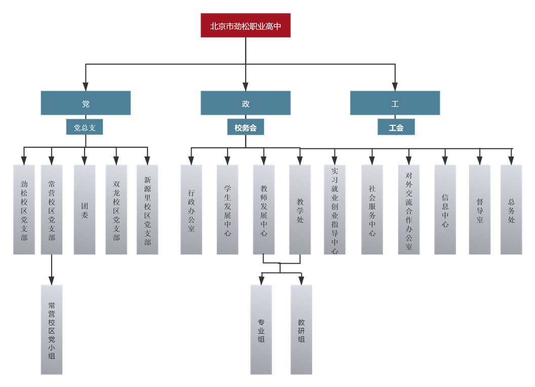 学校组织结构