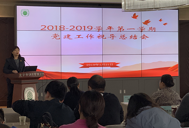 党建促校建，合力谱新篇——劲松职业高中党总支开展校区党支部工作专项视导