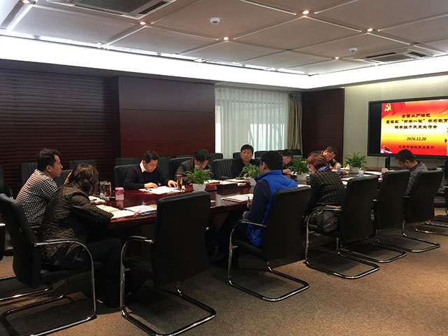严肃组织生活，强化党员意识，争做有为职教人 ——北京市劲松职业高中党总支及各校区支部成功组织民主生活会及组织生活会
